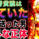 【ワンピース ネタバレ1125最新話予想】(予想妄想)食糧を提供したのは誰？やっぱりワープだった？！ルフィは利用された？