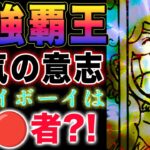 【ワンピース ネタバレ1125最新話予想】(予想妄想)判別する覇王色！覇気に宿る意思！ジョイボーイは科学者？