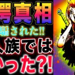 【ワンピース ネタバレ1127最新話】謎の国の謎！巨人族ではなかった？ナミのコスプレの謎！(予想妄想)