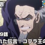 ONE PIECE 1119話予告「託された伝言 (メッセージ)！コブラ王の覚悟」