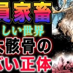 【ワンピース ネタバレ1128最新話】バッタおじさんの秘密！全員がペットなのか？神々の国の謎！(予想妄想)