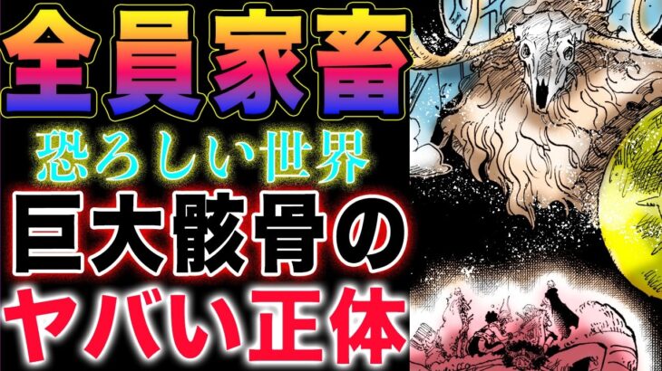 【ワンピース ネタバレ1128最新話】バッタおじさんの秘密！全員がペットなのか？神々の国の謎！(予想妄想)