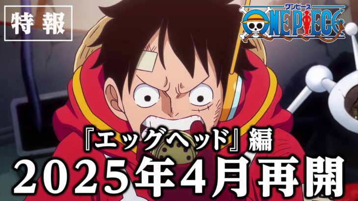 ＜特報＞アニメ「ONE PIECE」エッグヘッド編