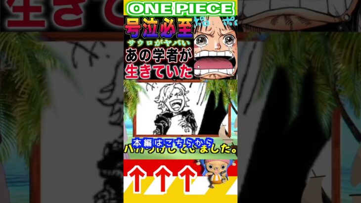 【ワンピース ネタバレロビン号泣必至1予想】(予想妄想)#ワンピース　#ワンピースネタバレ #ONEPIECE #ワンピース最新話