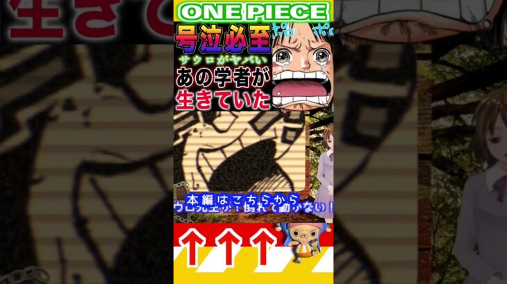 【ワンピース ネタバレロビン号泣必至2予想】(予想妄想)#ワンピース　#ワンピースネタバレ #ONEPIECE #ワンピース最新話