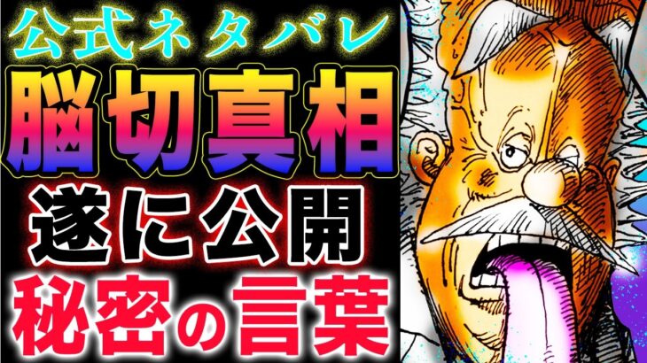 【ワンピース ネタバレ予想】ビブルカードの新事実！    ベガパンクの秘密が判明！ベガパンクの名言を発見！サテライトたちの秘密が判明！(予想妄想)