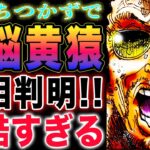 【ワンピース ネタバレ予想】黄猿の本音がやばい！黄猿は戦闘の天才！衝撃のエクストラ！(予想妄想)