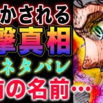 【ワンピース ネタバレ予想】公式ネタバレ！遂に判明！ホールデムの衝撃真相！ノリの助とおでん！うっかりツル兵衛（べえ）の真相！(予想妄想)