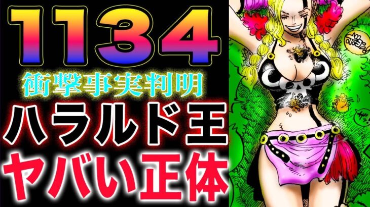 【ワンピース1134話　最新話感想】セイウチの学校！生物教師のリプリー！ハラルド王とは？(予想妄想)