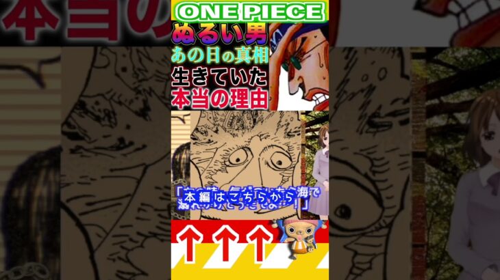 【ワンピース ネタバレロビンとサウロの再会2予想】(予想妄想)#ワンピース　#ワンピースネタバレ #ONEPIECE #ワンピース最新話