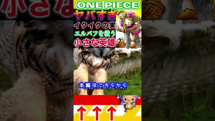 【ワンピース 】イクイクの実がヤバすぎ1(予想妄想) #ワンピース #onepiece