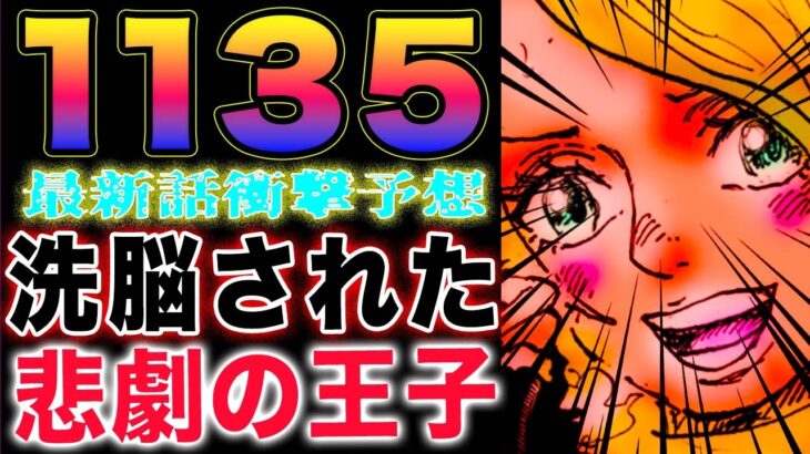 【ワンピース 1135最新話予想】ロキの強烈な違和感！ゲルズが擁護する理由！ハラルドとロキに何があったのか？(予想妄想)