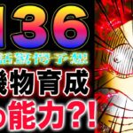 【ワンピース1136最新話予想 】ルフィ　VS  神の騎士団！ビブロの能力の謎！実はアイツの能力だった？(予想妄想)