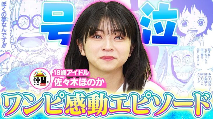 【ゲスト：佐々木ほのか】ワンピの感動エピソードで2025年泣き始め！【仲間がいるよTube!!!!】