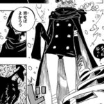 【ONEPIECE】神の騎士団の軍子ちゃんwww