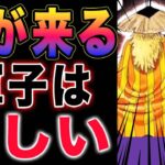 【ワンピース1139予想1138感想 】生きていた門番たち！編笠の男がやって来た！フランキーの発見！(予想妄想)