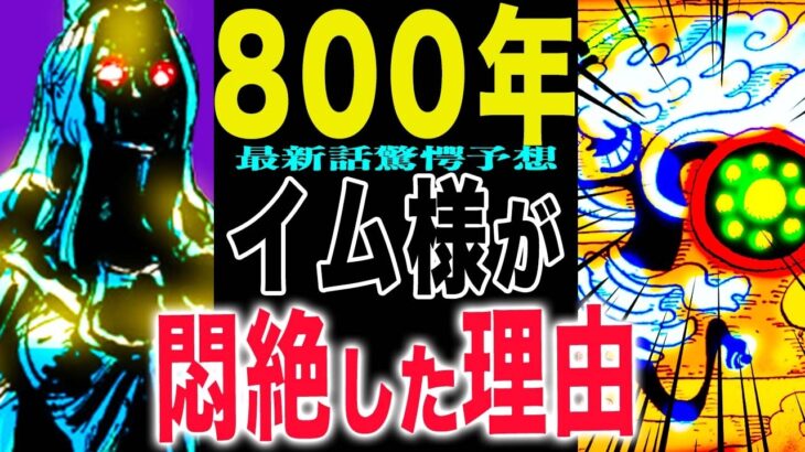 【ワンピース1140話予想  】ニカの紋章なのか？ニカとアラバスタの秘密！リリィは知ってしまった！(予想妄想)