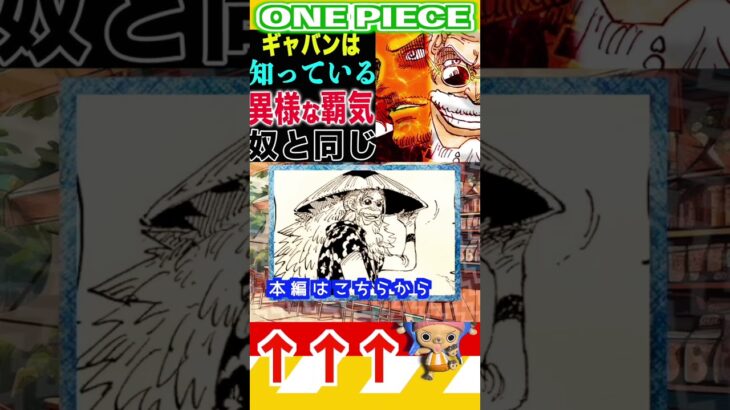 【ワンピース1140異様な覇気の正体1 】(予想妄想) #ワンピース #山賊王 #onepiece