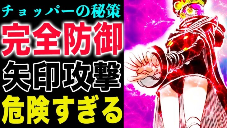 【ワンピース1142話　感想 】眠ったまま歩く子供！チョッパーが危ない！軍子の矢印を防ぐ！(予想妄想)