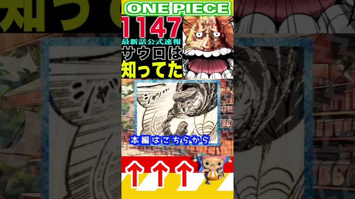 【ワンピース1147公式速報 】(予想妄想) #ワンピース #山賊王 #onepiece #ワンピース #山賊王 #ワンピース1021