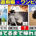 【みんなの地元は？】47都道府県のワンピキャラを当てろ！【仲間がいるよTube!!!!】