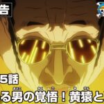 ONE PIECE 1125話予告「ぶつかる男の覚悟！黄猿と戦桃丸」