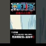 アニメ「#ONEPIECE」見放題配信に1125話が追加‼️ #onepiece #原撮