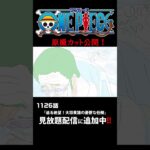 アニメ「#ONEPIECE」見放題配信に1126話が追加‼️ #onepiece #原撮