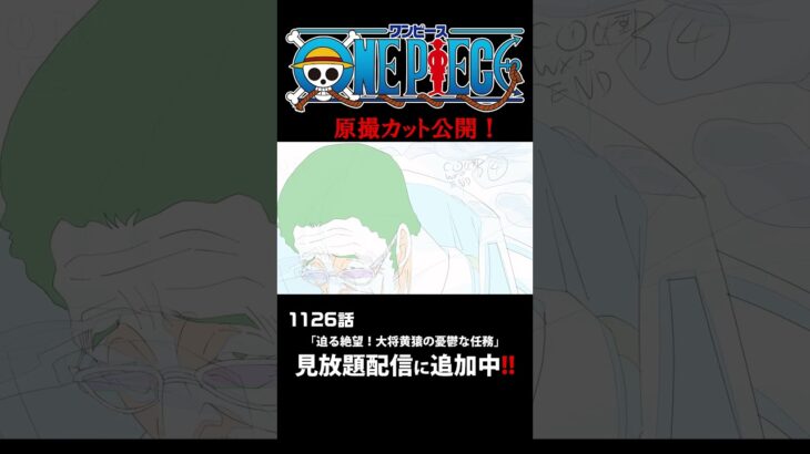 アニメ「#ONEPIECE」見放題配信に1126話が追加‼️ #onepiece #原撮