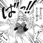 【ワンピース】王女の姿か…？
