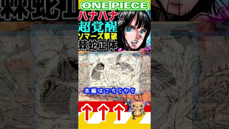 【ワンピースハナハナの実が覚醒1 】(予想妄想) #ワンピース #山賊王 #onepiece #ワンピース #山賊王 #ワンピース1021