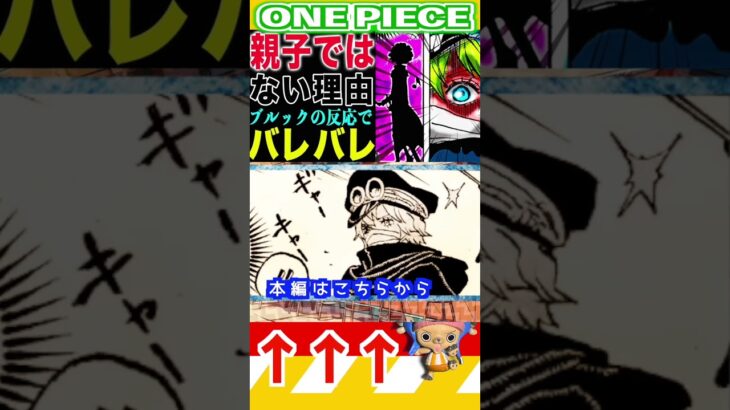 【ワンピース 親子ではない理由1】(予想妄想) #ワンピース #山賊王 #onepiece #ワンピース #山賊王 #ワンピース1021