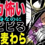【ワンピース1147話　初見の感想 】雷ぞう参上！拘束された麦わらの一味！神の騎士団の怖いもの！(予想妄想)