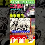 【ワンピース ニカを恐れる理由2】(予想妄想) #ワンピース #山賊王 #onepiece #ワンピース #山賊王 #ワンピース1021