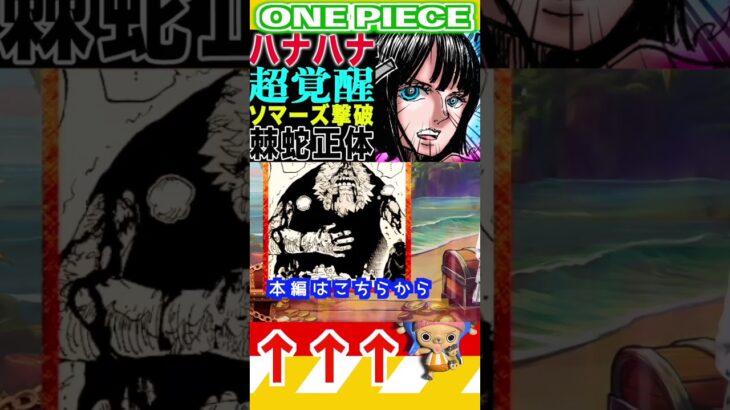 【ワンピース ハナハナの実が覚醒2】(予想妄想) #ワンピース #山賊王 #onepiece #ワンピース #山賊王 #ワンピース1021