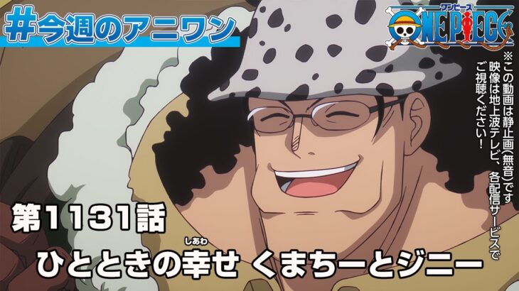 #今週のアニワン　「ひとときの幸せ　くまちーとジニー」 ONE PIECE 1131話