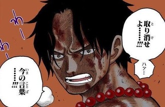 【ワンピース】エースって死ぬべくして死んだ感あるよね