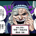 【ワンピース】マザーカルメルという聖母