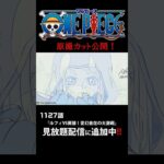 アニメ「#ONEPIECE」見放題配信に1127話が追加‼️ #onepiece #原撮