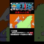 アニメ「#ONEPIECE」見放題配信への追加は木曜日‼️1128話‼️ #onepiece #原撮