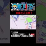 アニメ「#ONEPIECE」見放題配信への追加は木曜日‼️1128話‼️ #onepiece #原撮
