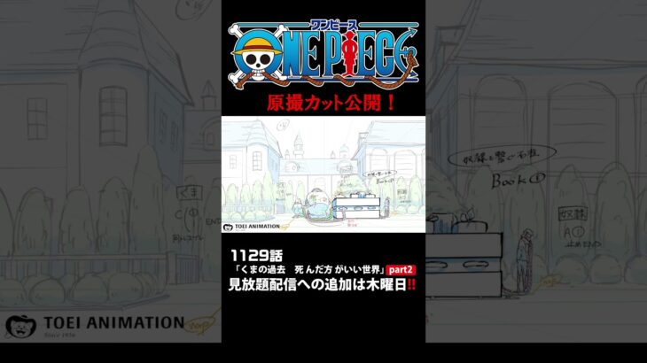 アニメ「#ONEPIECE」見放題配信への追加は木曜日‼️1129話‼️ #onepiece #原撮