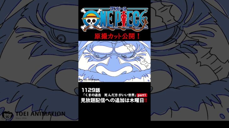 アニメ「#ONEPIECE」見放題配信への追加は木曜日‼️1129話‼️ #onepiece #原撮