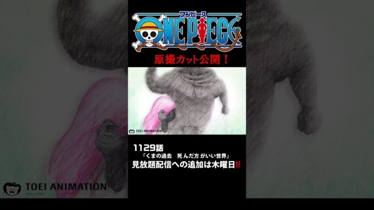アニメ「#ONEPIECE」見放題配信への追加は木曜日‼️1129話‼️ #onepiece #原撮