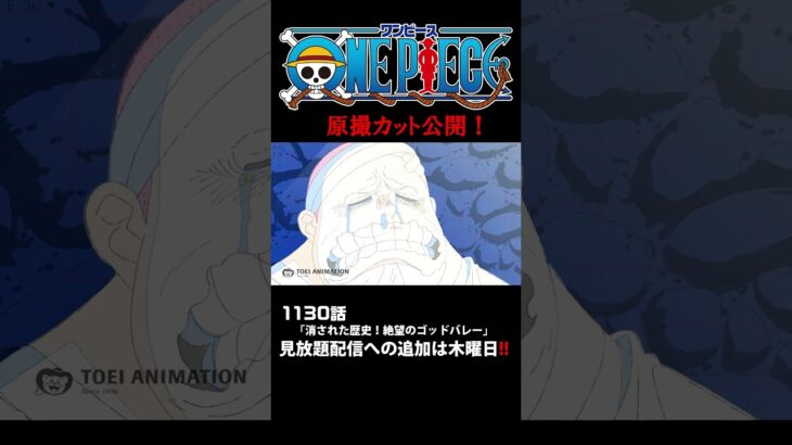 アニメ「#ONEPIECE」見放題配信への追加は木曜日‼️1130話‼️ #onepiece #原撮