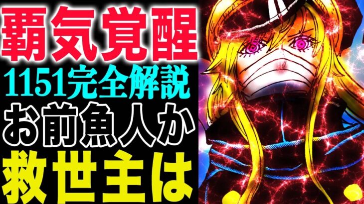 【ワンピース1151完全解説まとめ 】イムの正体！キリンガムの正体！ルフィとロキの反撃が始まる？！(予想妄想)