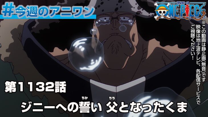 #今週のアニワン　「ジニーへの誓い　父となったくま」 ONE PIECE 1132話