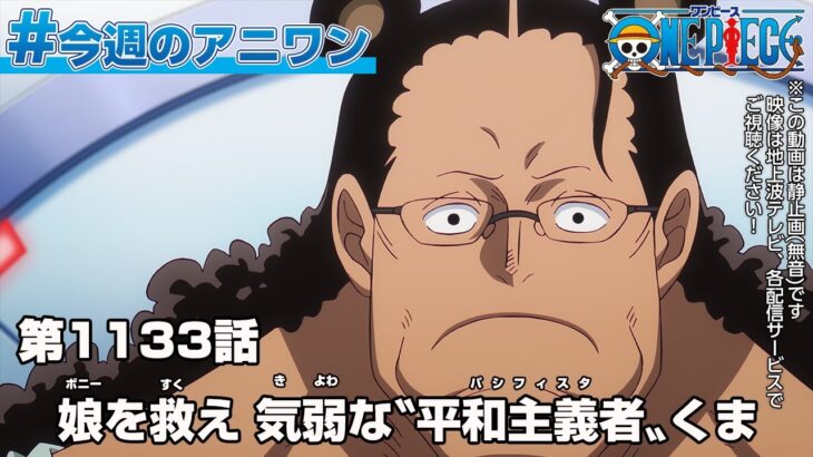 #今週のアニワン　「娘を救え　気弱な〝平和主義者〟くま」 ONE PIECE 1133話