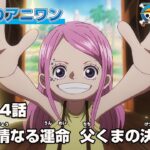 #今週のアニワン　「非情なる運命　父くまの決断」 ONE PIECE 1134話