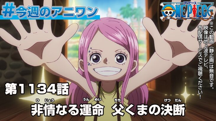 #今週のアニワン　「非情なる運命　父くまの決断」 ONE PIECE 1134話
